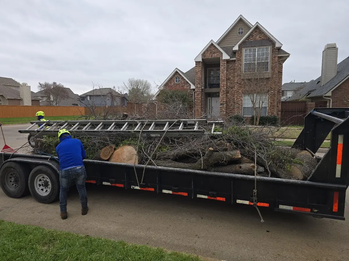Expert Tree Removal with proper safety equipment in Trumbauersville